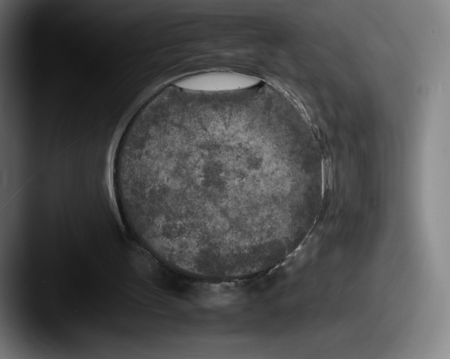 X0000087580147200705181207