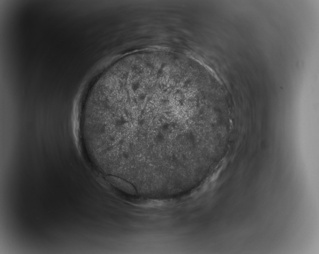 X0000087580149200705181207
