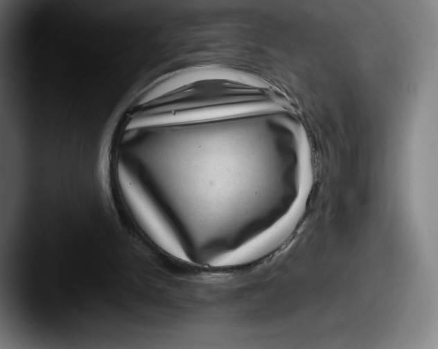 X0000087580150200705181207