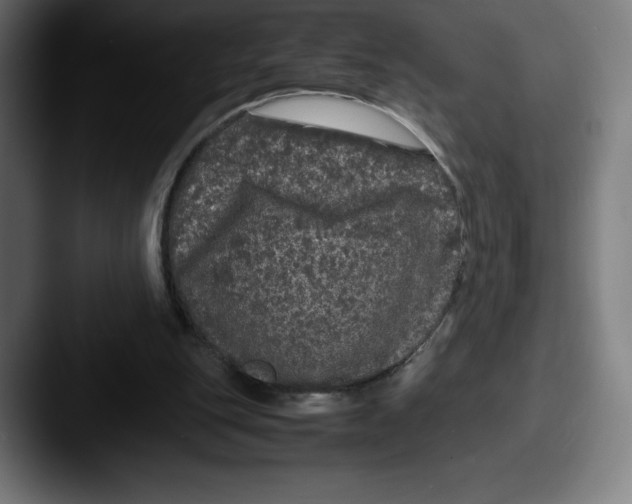 X0000087580151200705181207