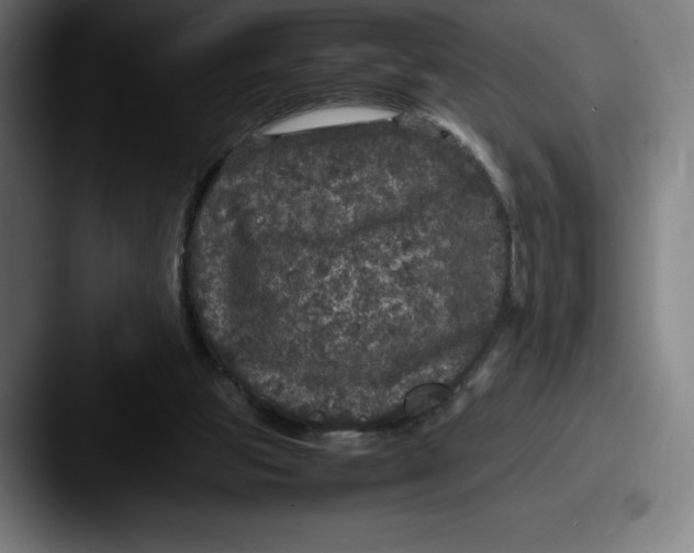 X0000087580153200705181207