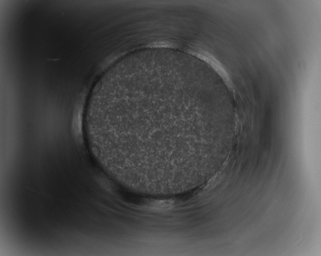X0000087580155200705181207