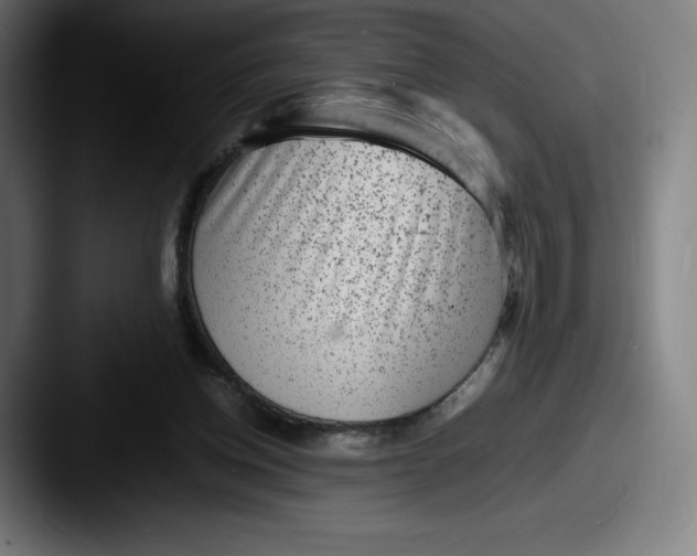 X0000087580158200705181207