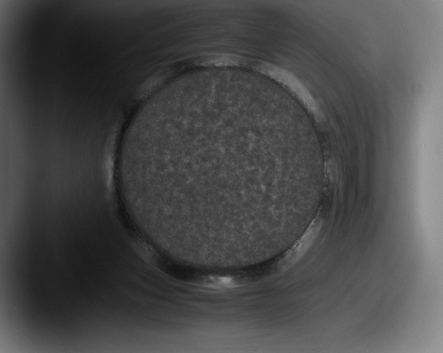 X0000087580159200705181207