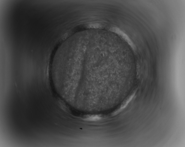 X0000087580161200705181207