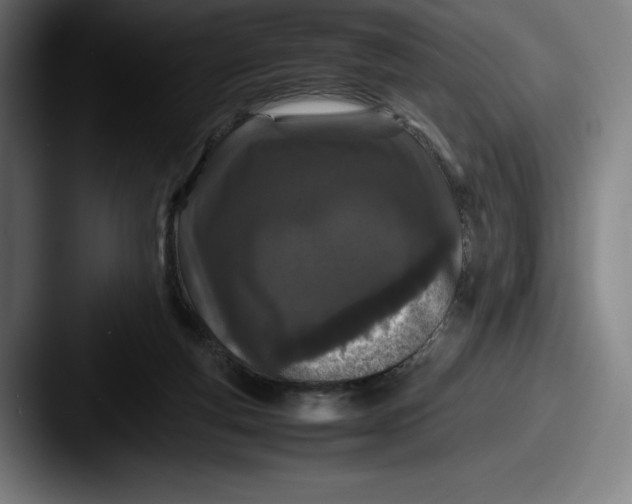 X0000087580163200705181207