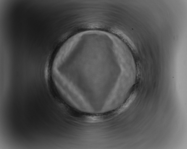 X0000087580164200705181207