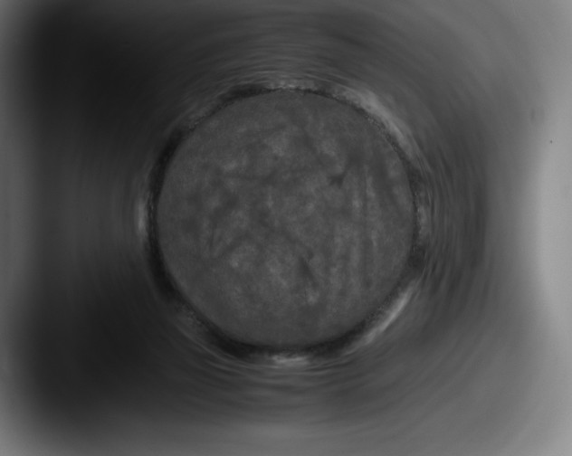 X0000087580165200705181207