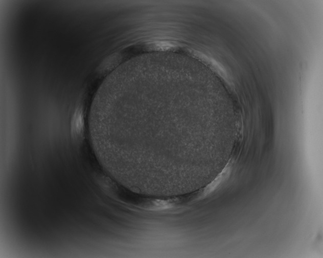 X0000087580166200705181207