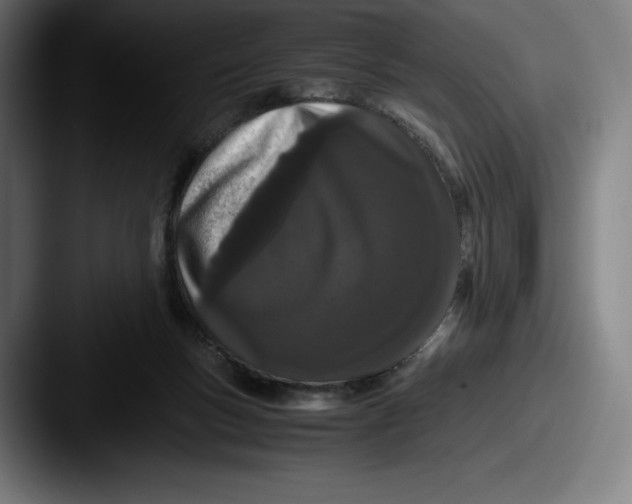 X0000087580167200705181207