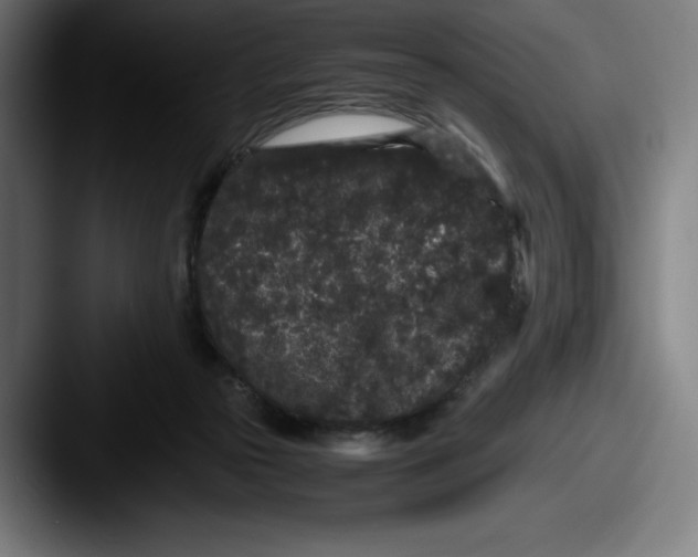 X0000087580169200705181207