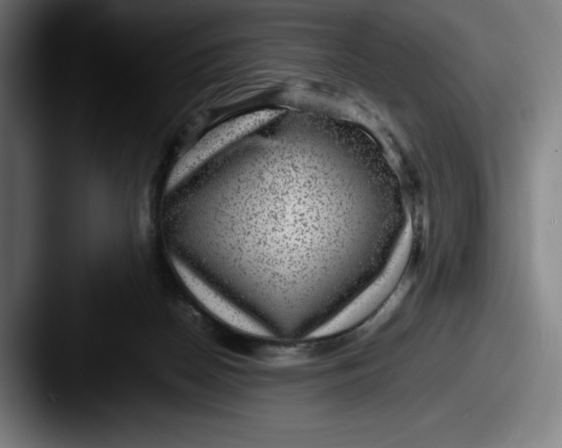 X0000087580170200705181207