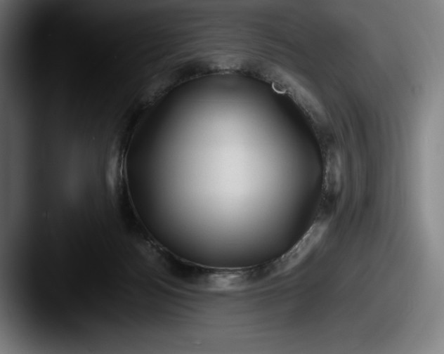 X0000087580172200705181207