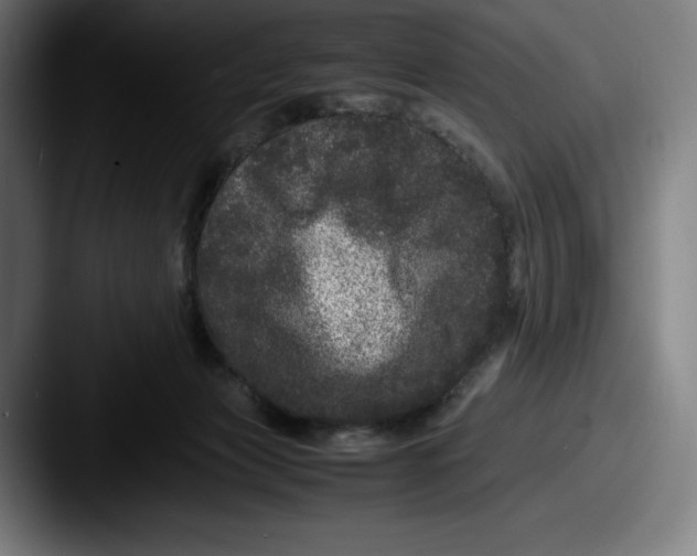 X0000087580173200705181207