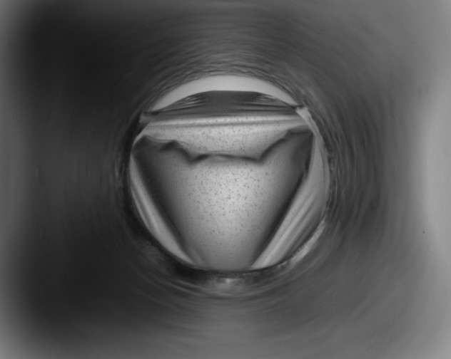 X0000087580174200705181207