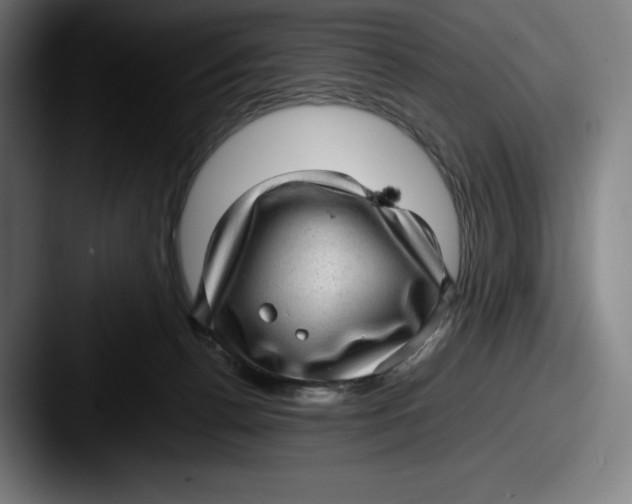 X0000087580176200705181207