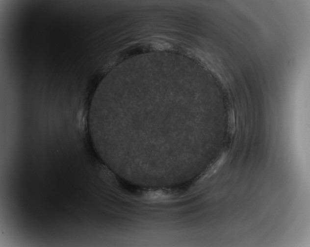 X0000087580177200705181207