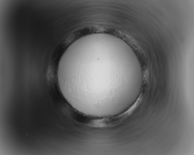 X0000087580178200705181207