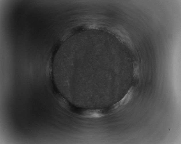 X0000087580179200705181207
