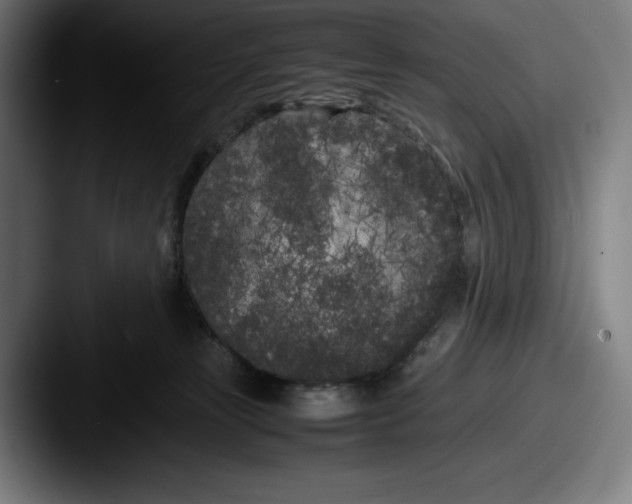 X0000087580181200705181207