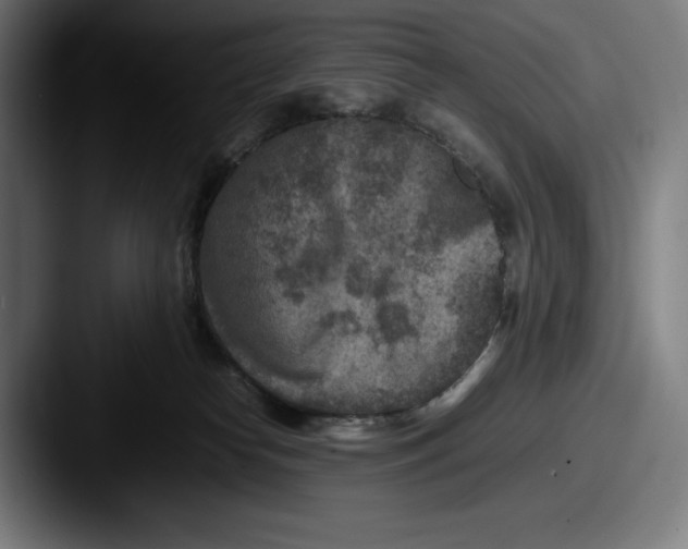 X0000087580182200705181207