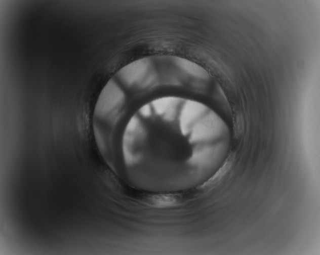 X0000087580183200705181207