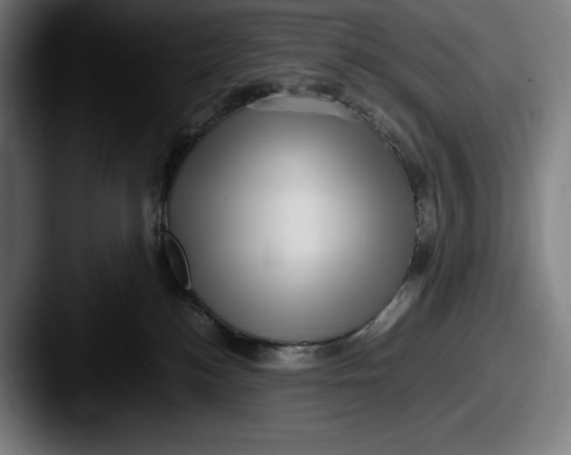 X0000087580184200705181207