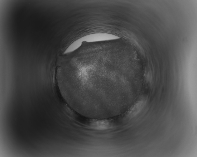X0000087580185200705181207