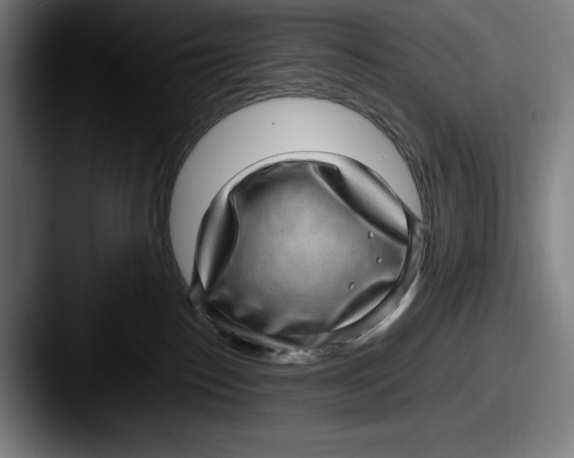 X0000087580186200705181207