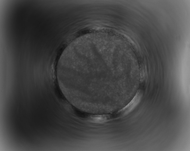 X0000087580187200705181207