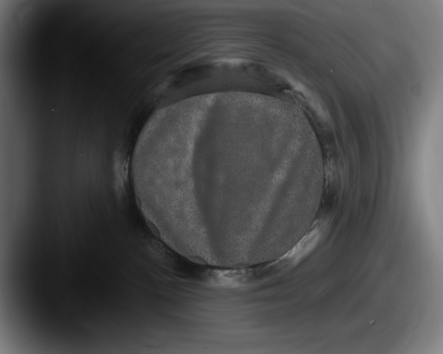 X0000087580188200705181207