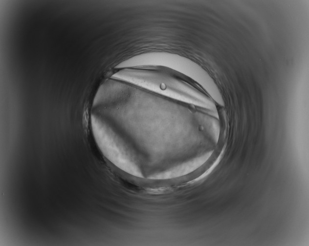 X0000087580190200705181207