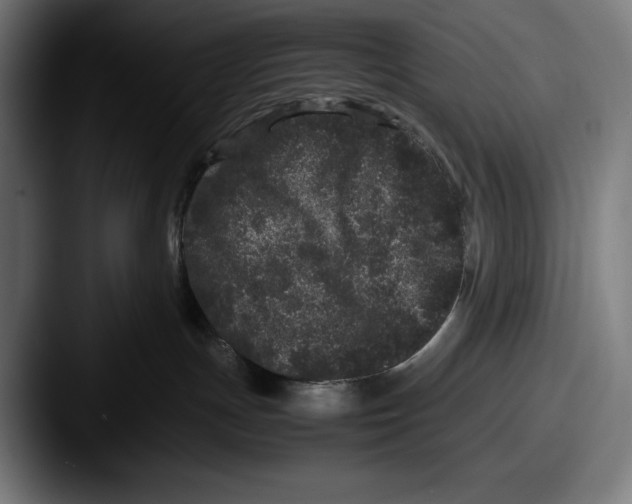 X0000087580191200705181207