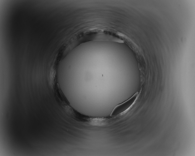 X0000087580192200705181208