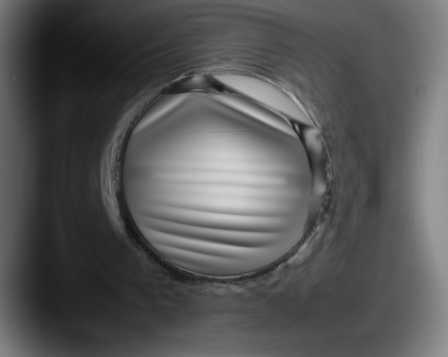 X0000087580193200705181207