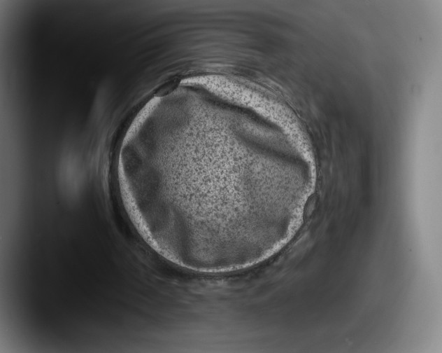 X0000087580194200705181207