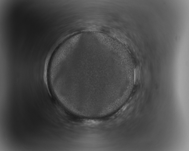 X0000087580195200705181207