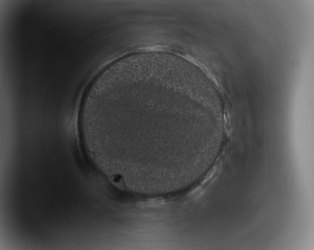 X0000087580196200705181207