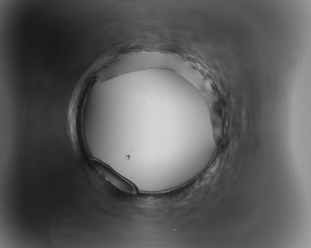 X0000087580197200705181207