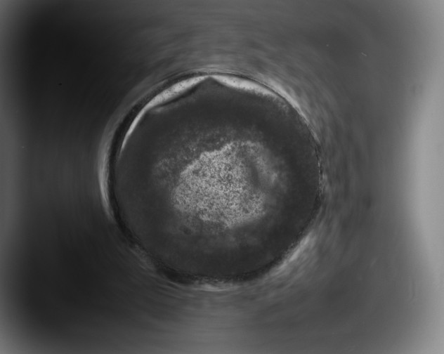 X0000087580199200705181207