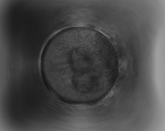 X0000087580200200705181207