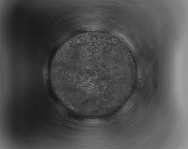 X0000087580202200705181207