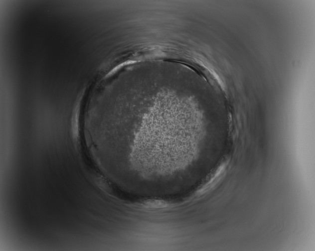 X0000087580203200705181207