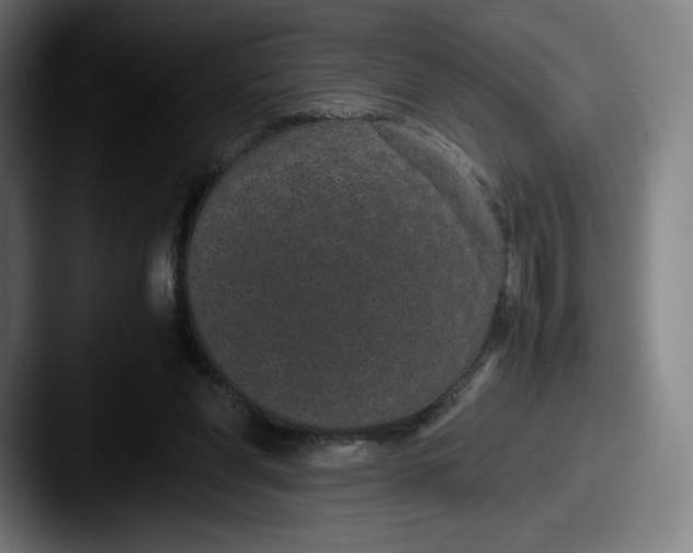 X0000087580206200705181207