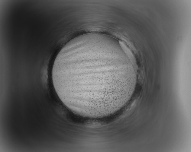 X0000087580207200705181207