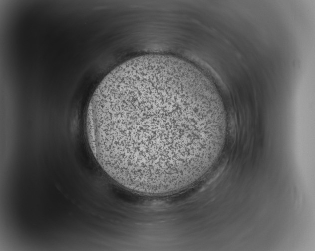 X0000087580208200705181207