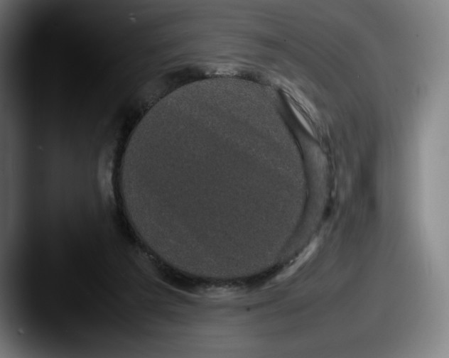 X0000087580209200705181207