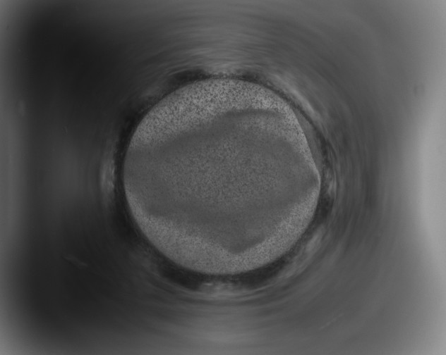 X0000087580211200705181207
