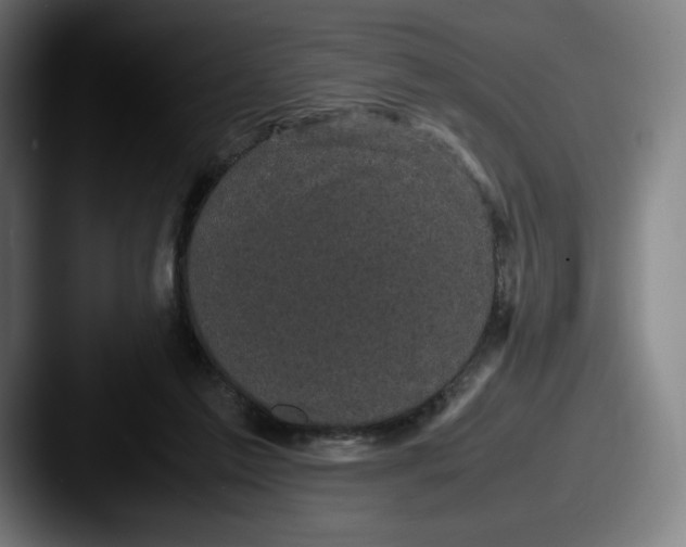 X0000087580213200705181207