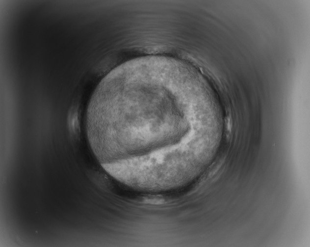 X0000087580214200705181207